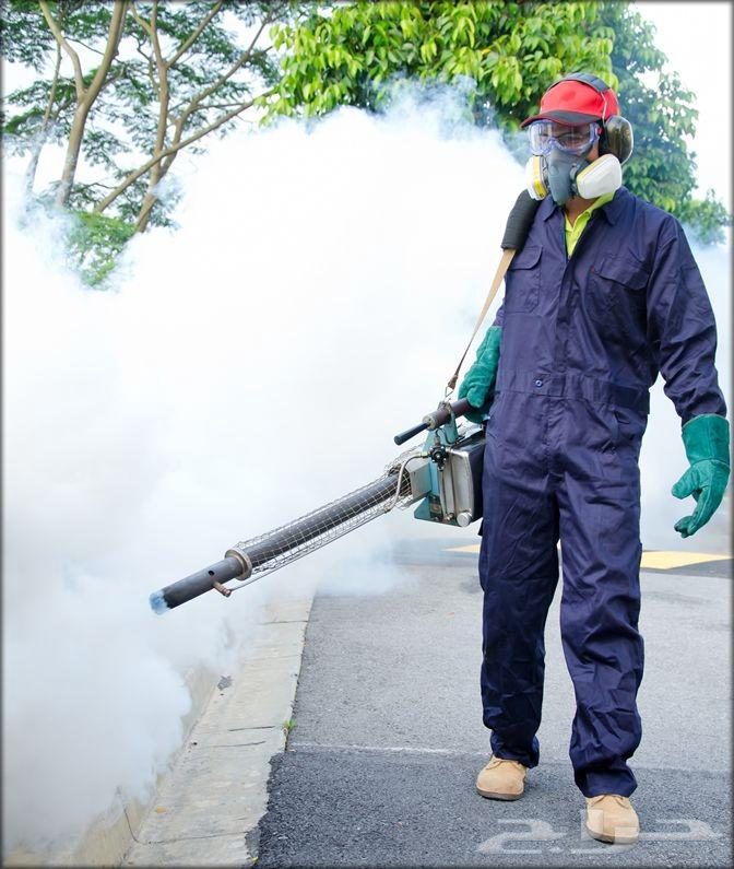 Pest Control and Insect Spraying Company in Dammam with Warranty63613648921089119