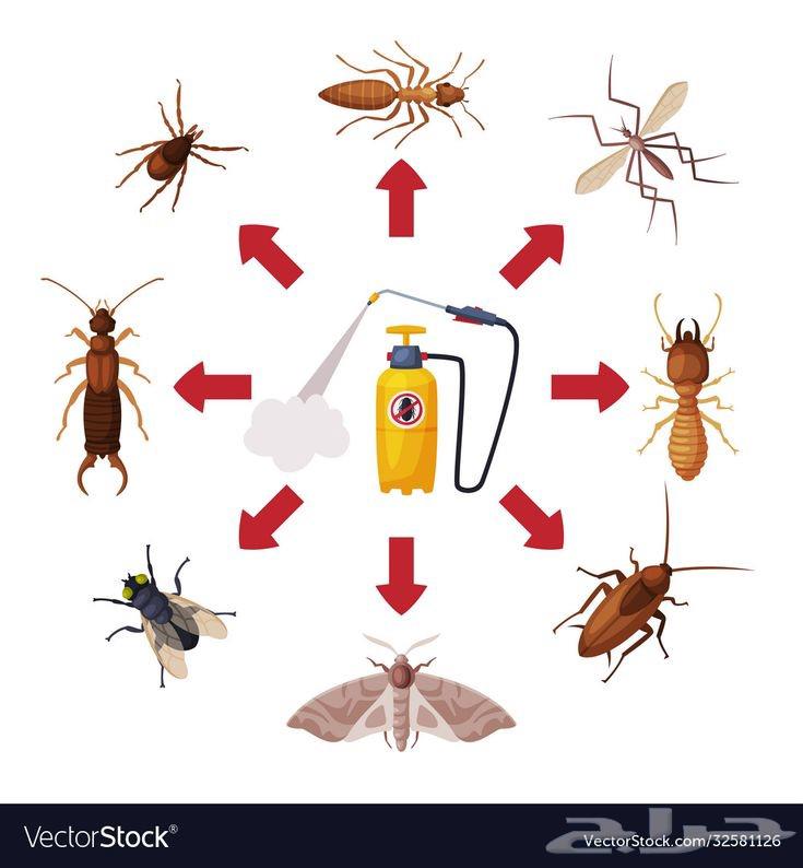 Pest Control and Insect Spraying Company in Dammam with Warranty63613648921089111