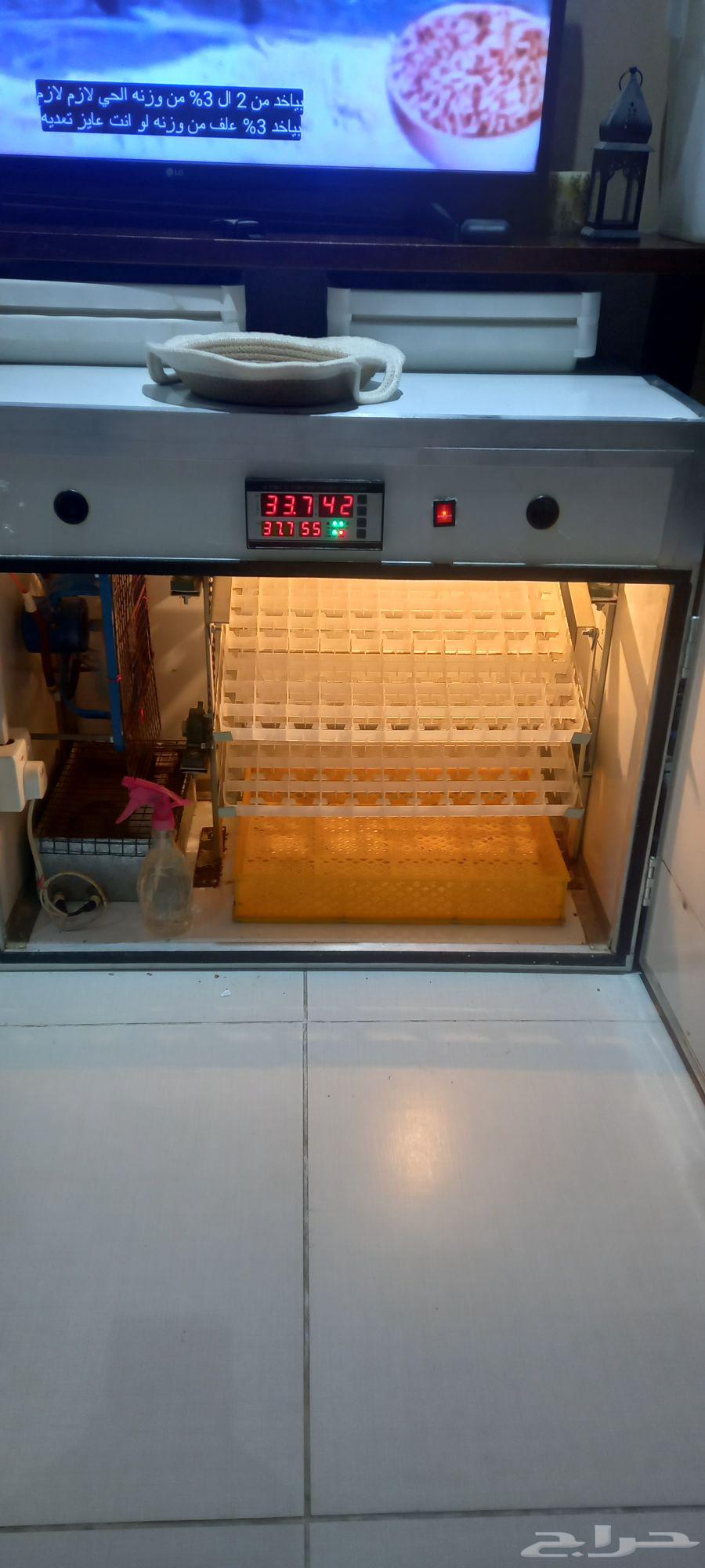 Automatic sea sparkle incubator and automatic cooling fan that does not require air conditioning63718639935491113