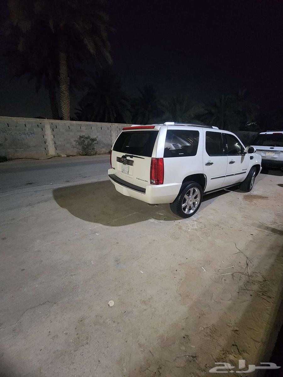سكليد 2014 فل كامل63398189779587113