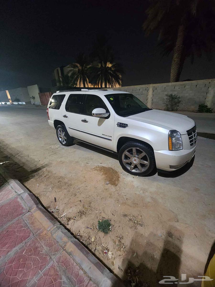 سكليد 2014 فل كامل63398189779587114