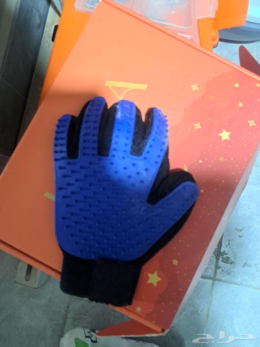 أغراض قطة63394707437058114
