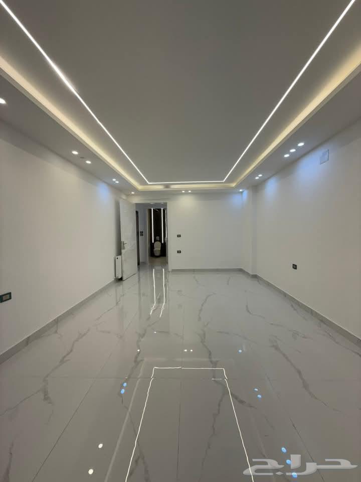 Teacher of plaster63398205322625113