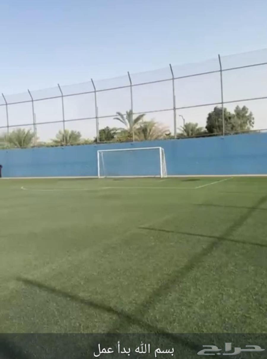 Artificial grass for sports fields with very light use63380007446786119