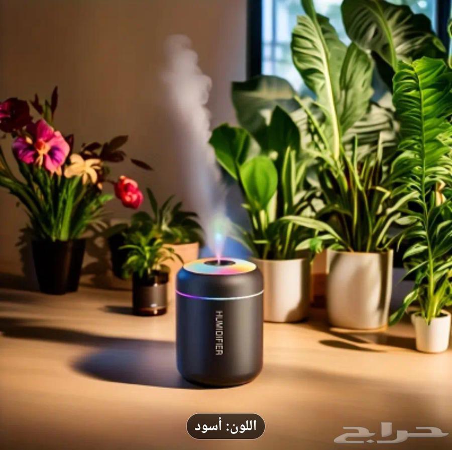 Air freshener for car and home63391270726403111