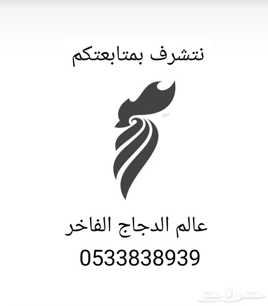 ديك روز كامب مميز63391032244482113