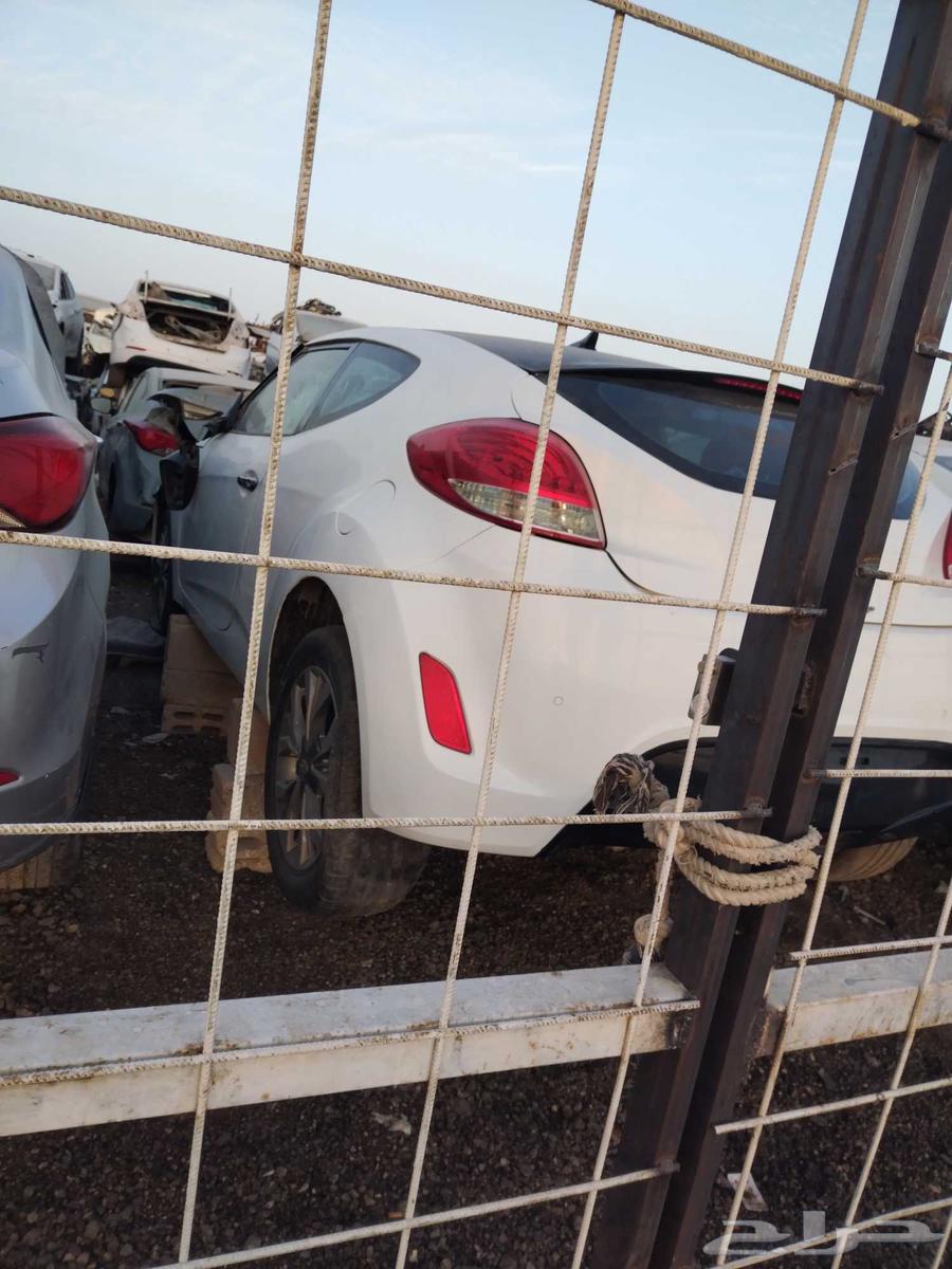 قطع غيار هونداي فلستر تلشيح الحائر و اكسنت من 10الي 16كماري63394524084355113