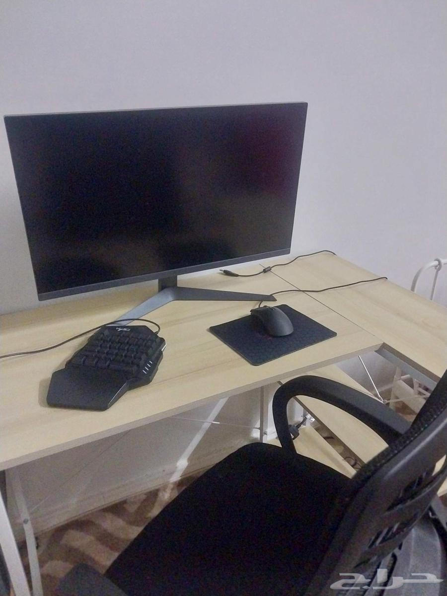 Steb Kamil 110063380424230915110