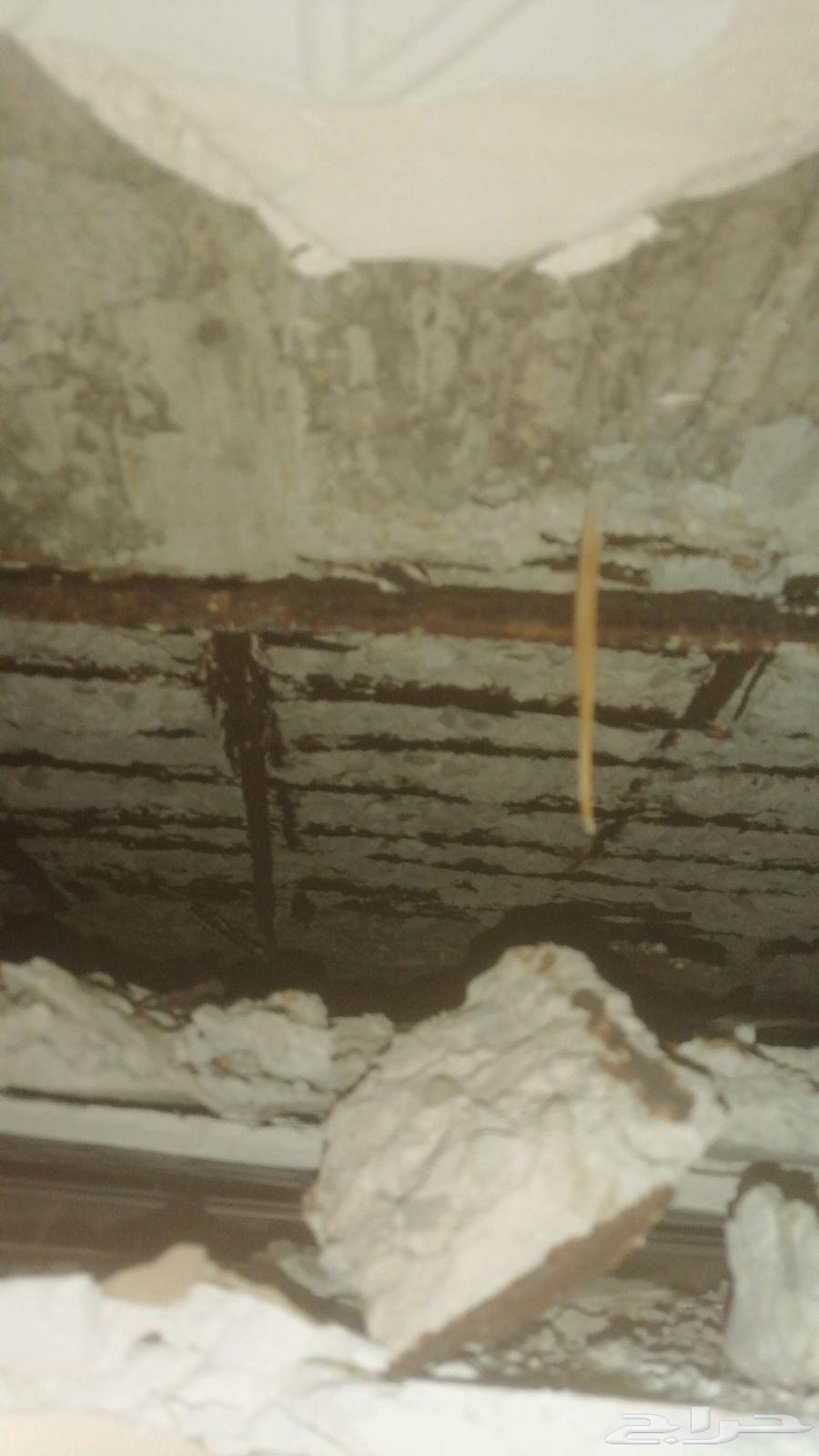 Contractor for building demolition and renovation, cutting with explosives, plastering, electricity, and plumbing.63380953917057114