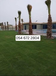يوجد تيل طبيعي سعر المتر 10ريال يوجد صيانة منزلية63389116558210113