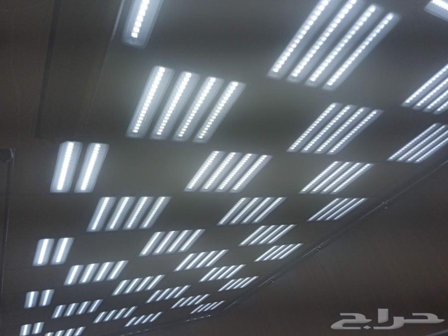 An electrician in Jeddah63381026484865114
