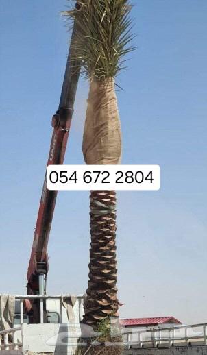 يوجد تيل طبيعي سعر المتر 10ريال يوجد صيانة منزلية63389116558210114