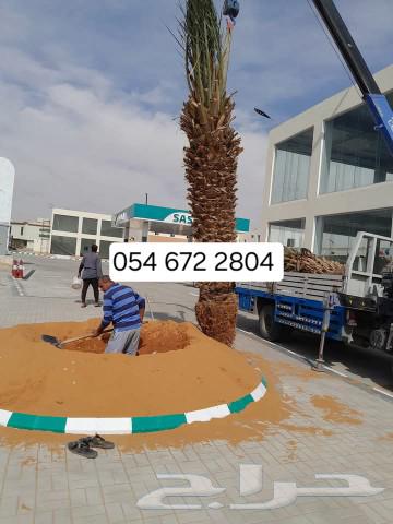 يوجد تيل طبيعي سعر المتر 10ريال يوجد صيانة منزلية63389116558210112