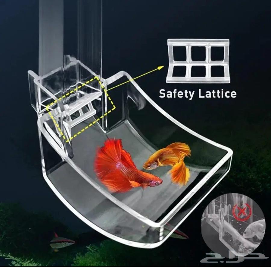 Feeding tube for fish, shrimp, and others63386277933699111