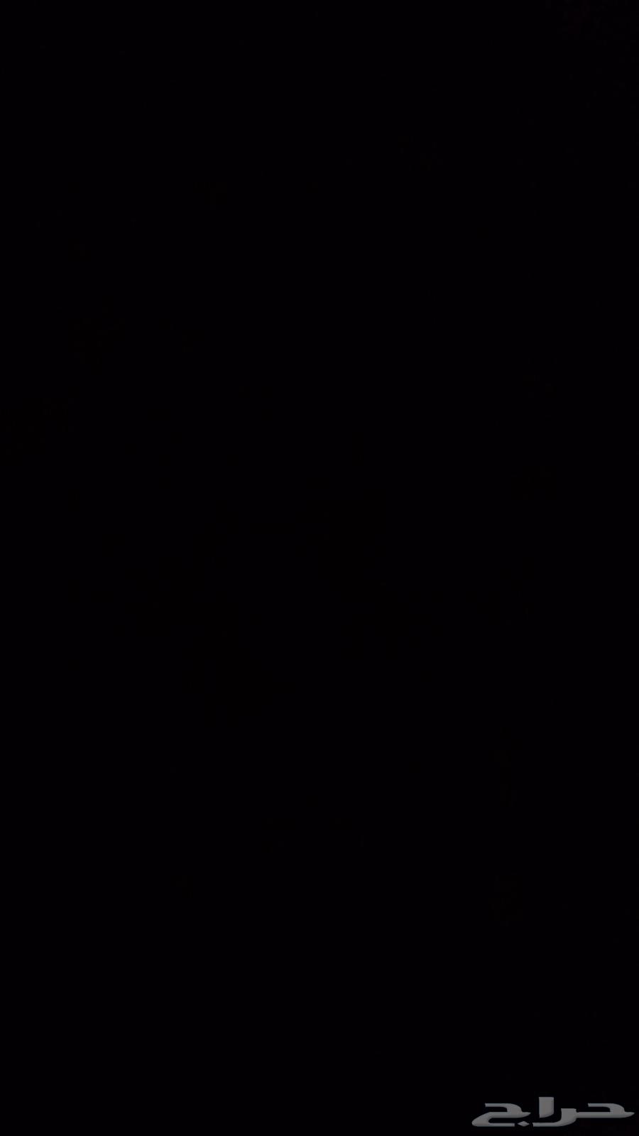 مطلوب طير اليف وهدد633886254101771126