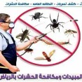 Pesticide spraying in Riyadh, pest control in Riyadh63381699925249111