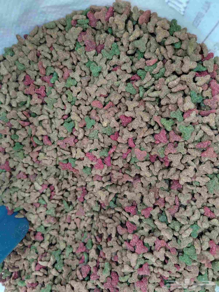 Cats and birds food. And accessories63137556212609111
