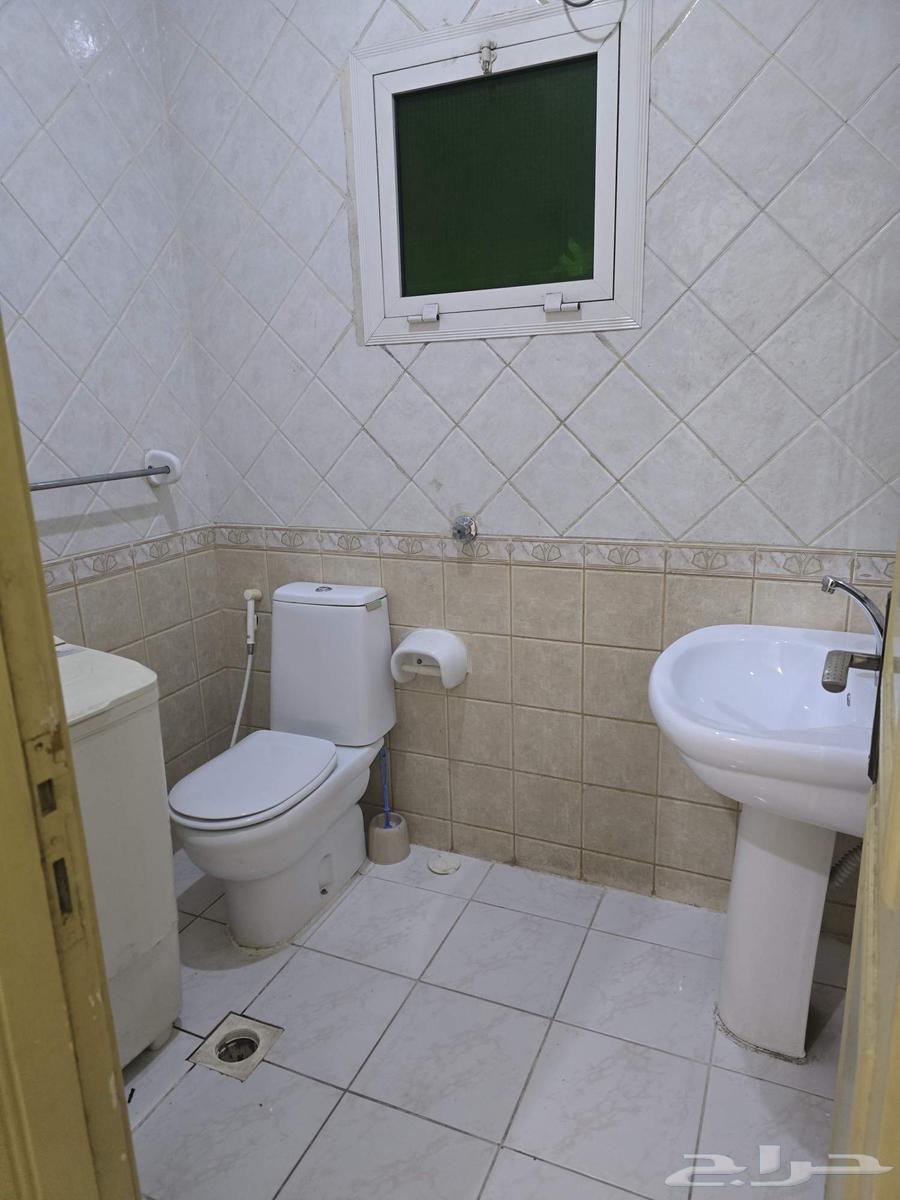 Furnished apartments for monthly rent in Jeddah, Al-Bani Malik neighborhood, Palestine Street63381116876802111