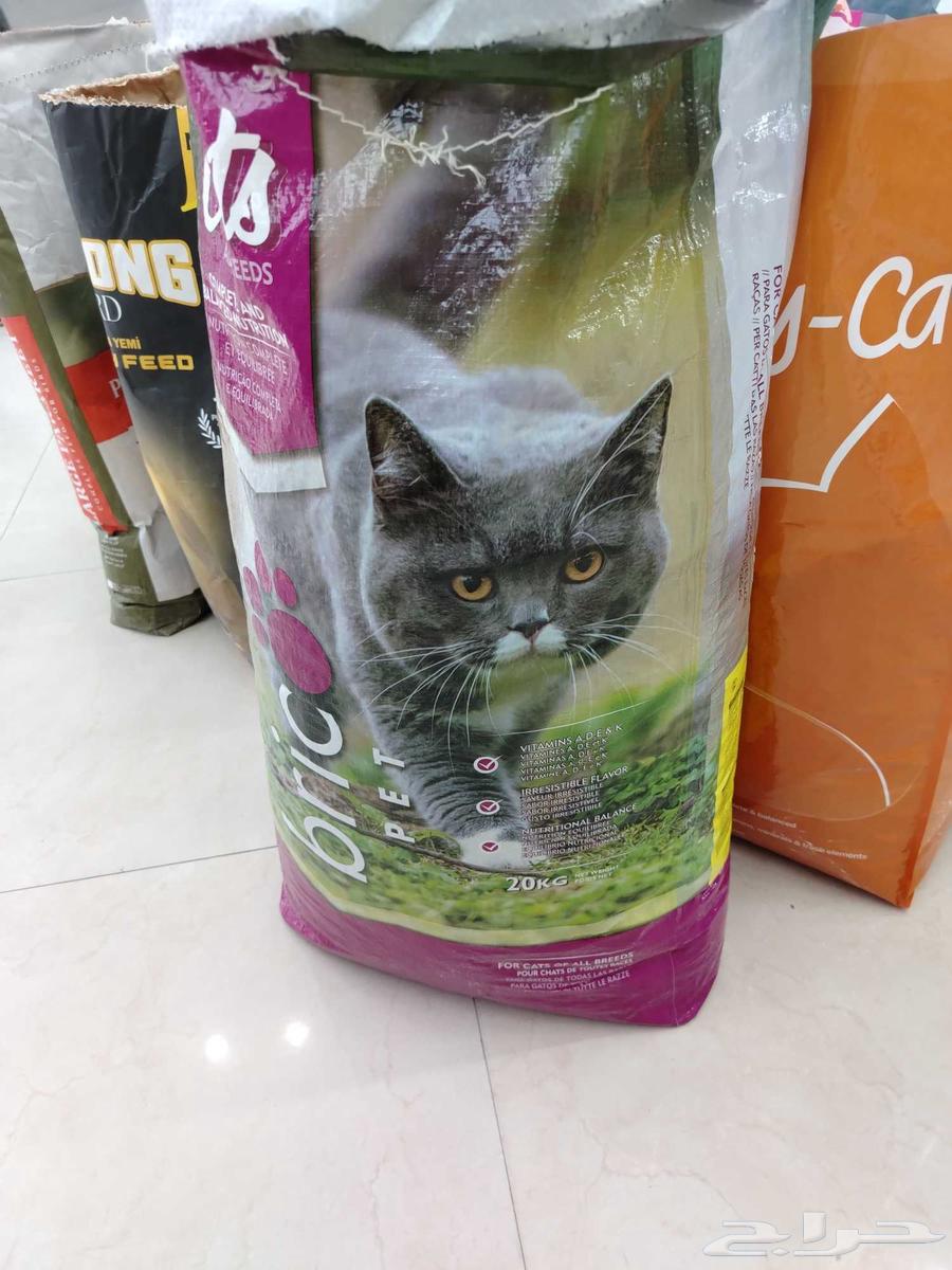 Cats and birds food. And accessories631375562126091113