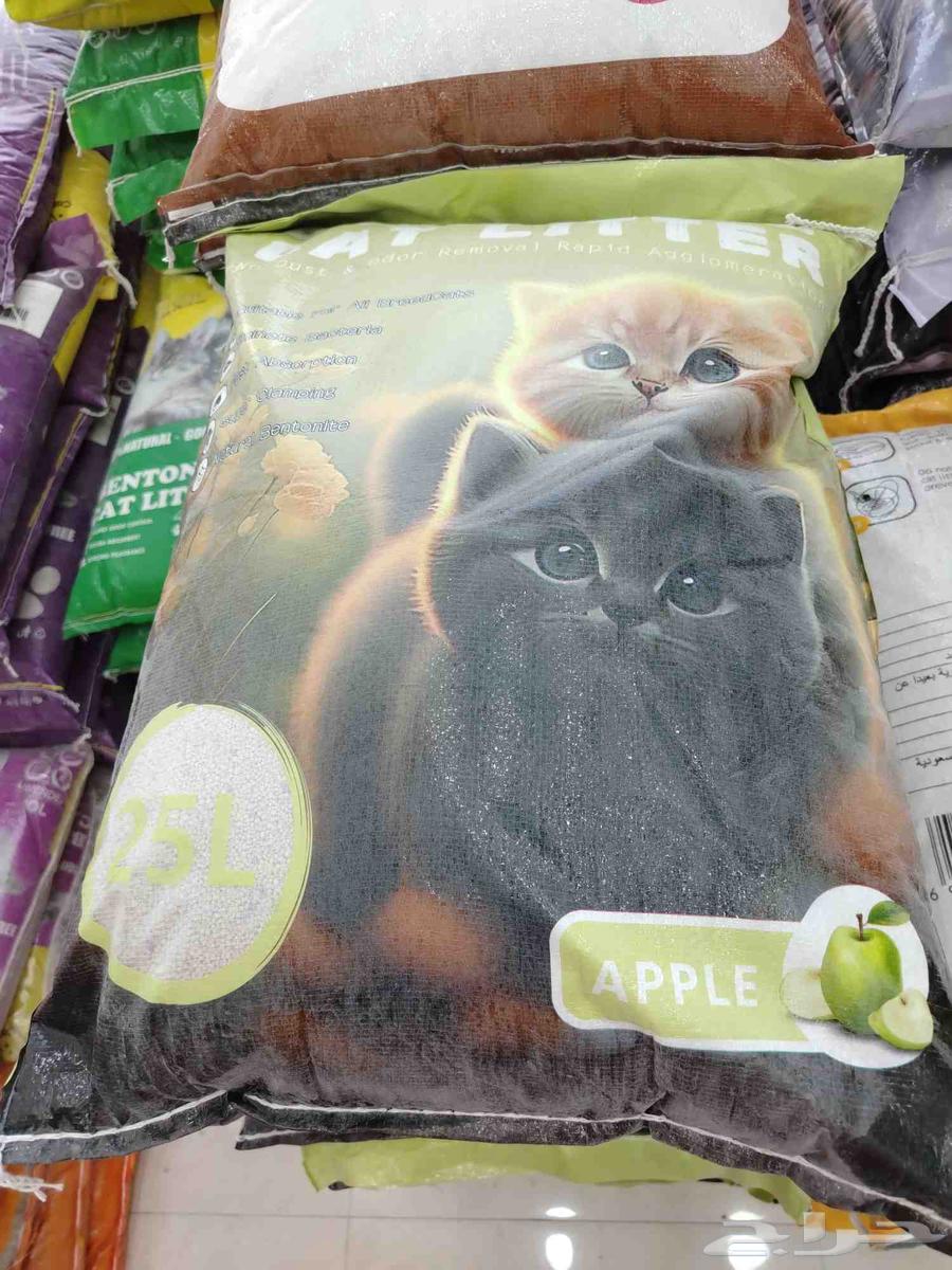 Cats and birds food. And accessories63137556212609112
