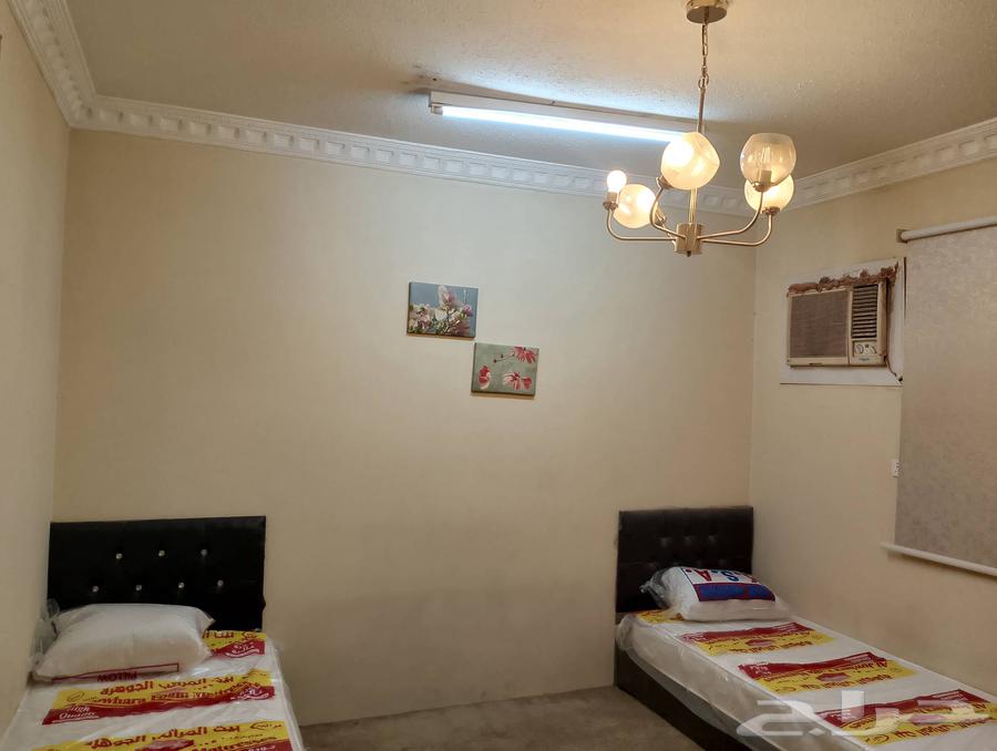 Furnished apartments for singles63381116902402114