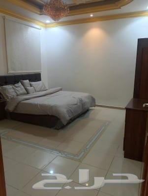 Furnished apartments for monthly rent in Jeddah, Al-Bouadi neighborhood63381116859010114