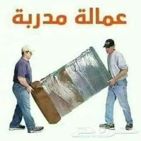 شركه نقل عفش في خميس مشيط63381761652739112