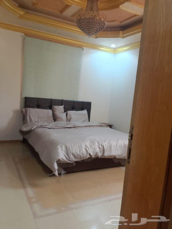 Furnished apartments for monthly rent in Jeddah, Al-Bouadi neighborhood63381116859010112