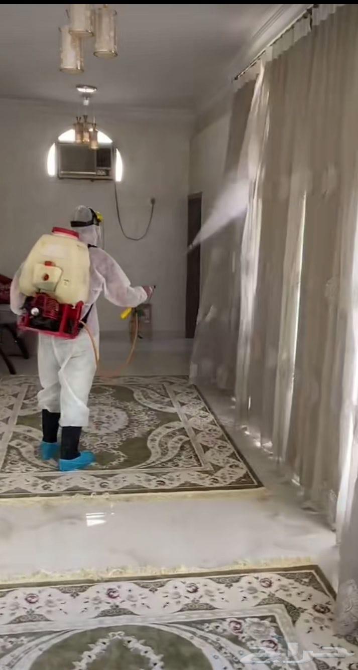 Pest control company for insect spraying, cockroaches, smoke fumigation, ants, termites63381911852929111