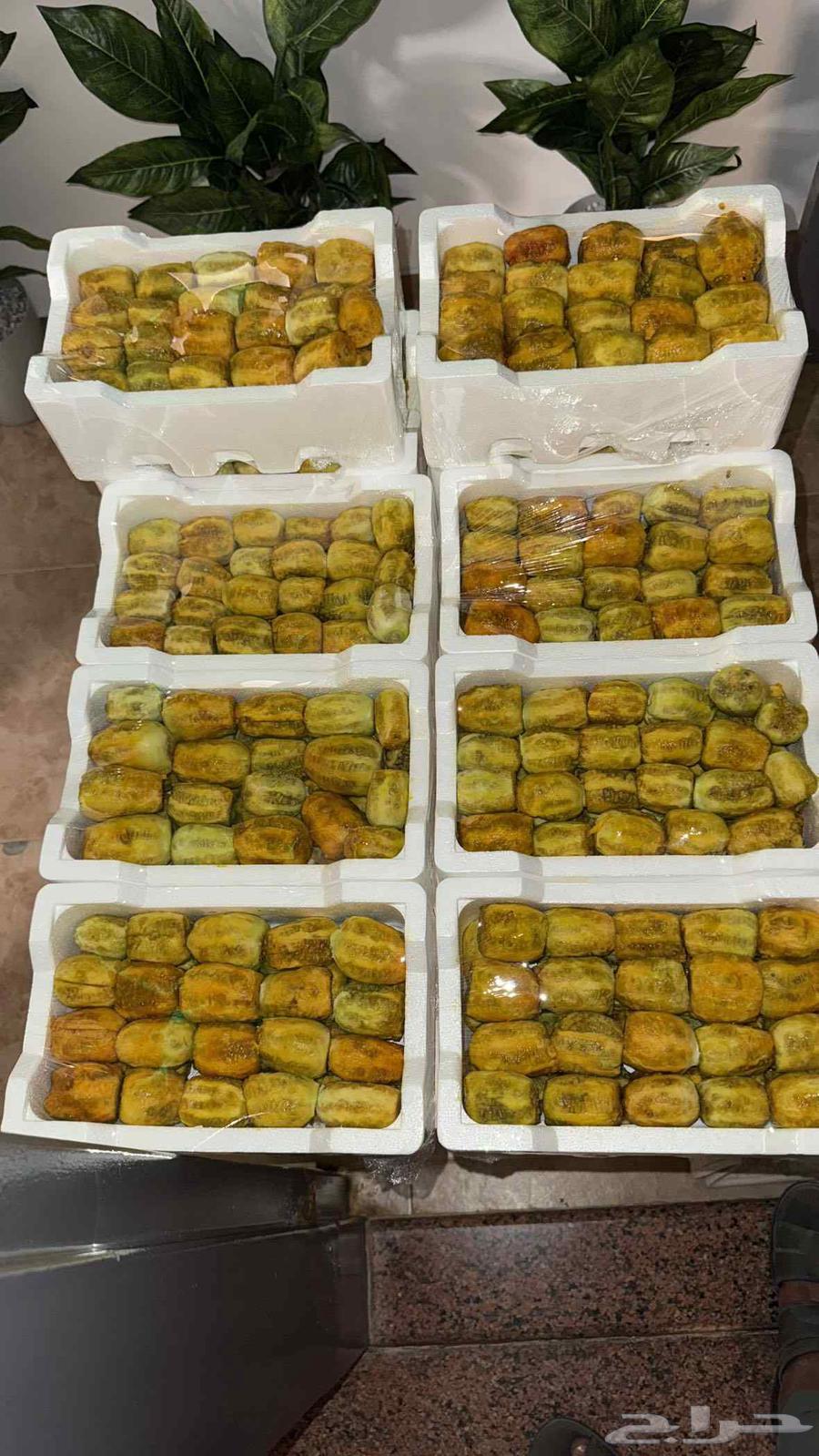 صبار مقشر جاهز63383718796673111