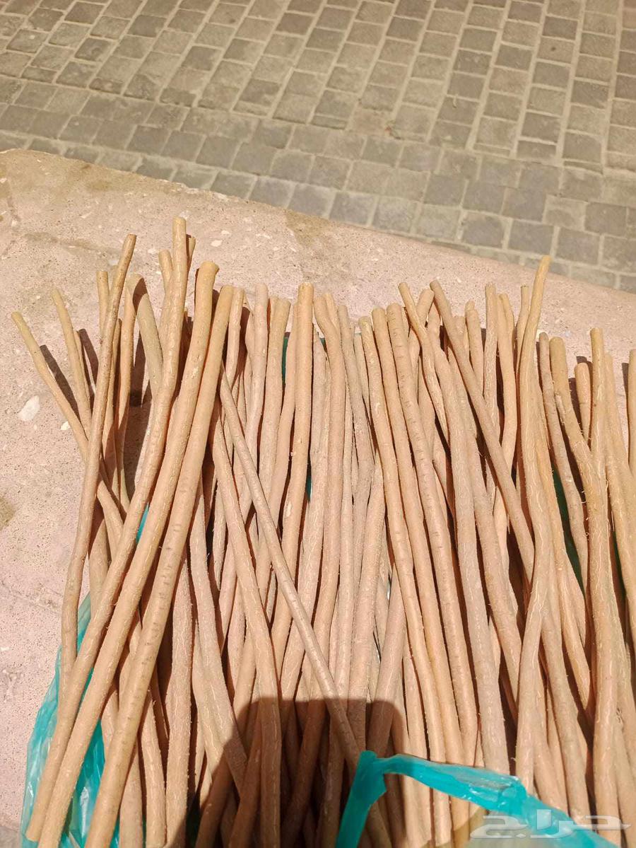 جديدنا دائما يتميز634385448901131128