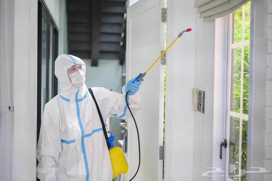 Pest control in Makkah63381641465346114