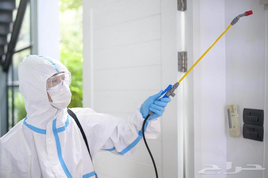 Pest control in Makkah63381641465346111