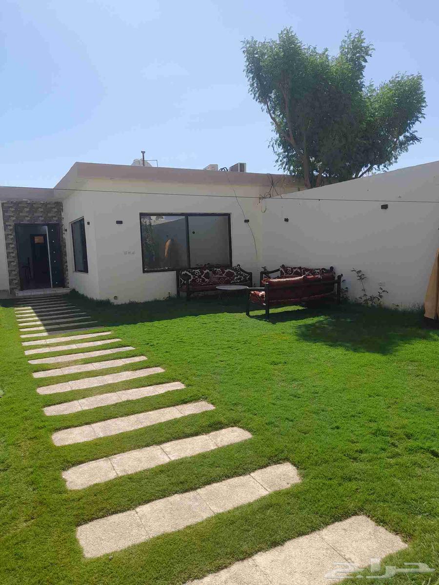 Daily rental cottages with a large swimming pool system63381117298435112