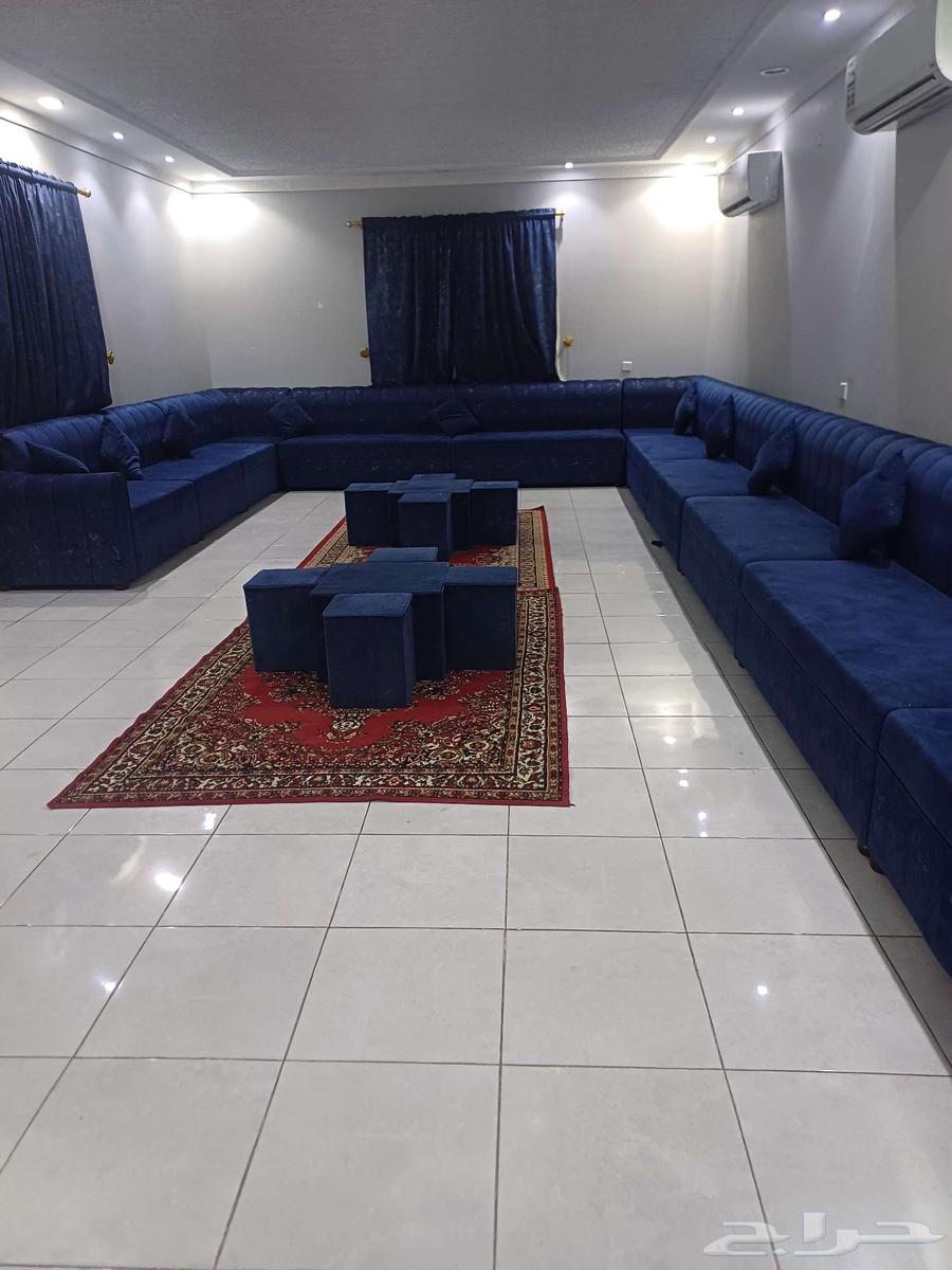 Daily rental lounge63381257458179114