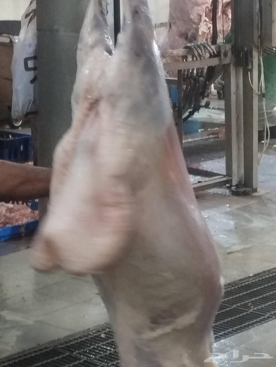 Abu Khaled Al-Shawi's Slaughters63383299471747112