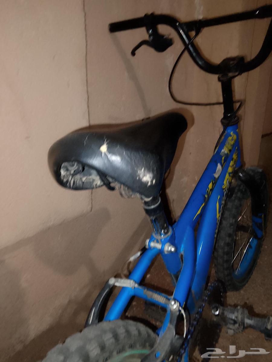 سيكل63383350695809111