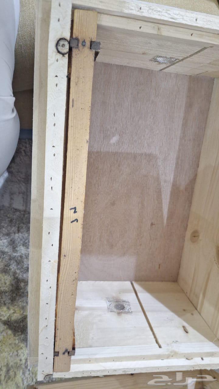 Swedish wooden Frangi cells63383587974658111