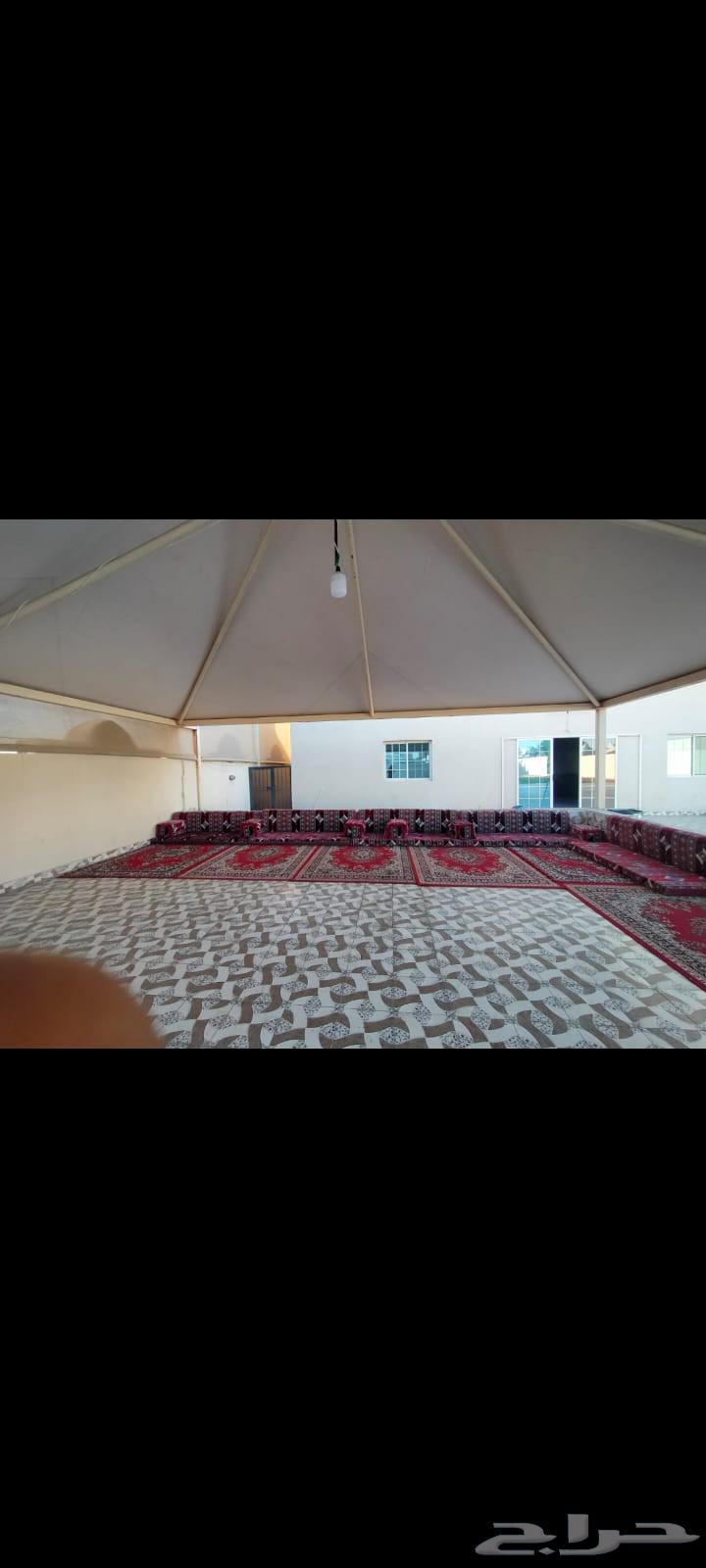 Daily rental lounge63381257458179113