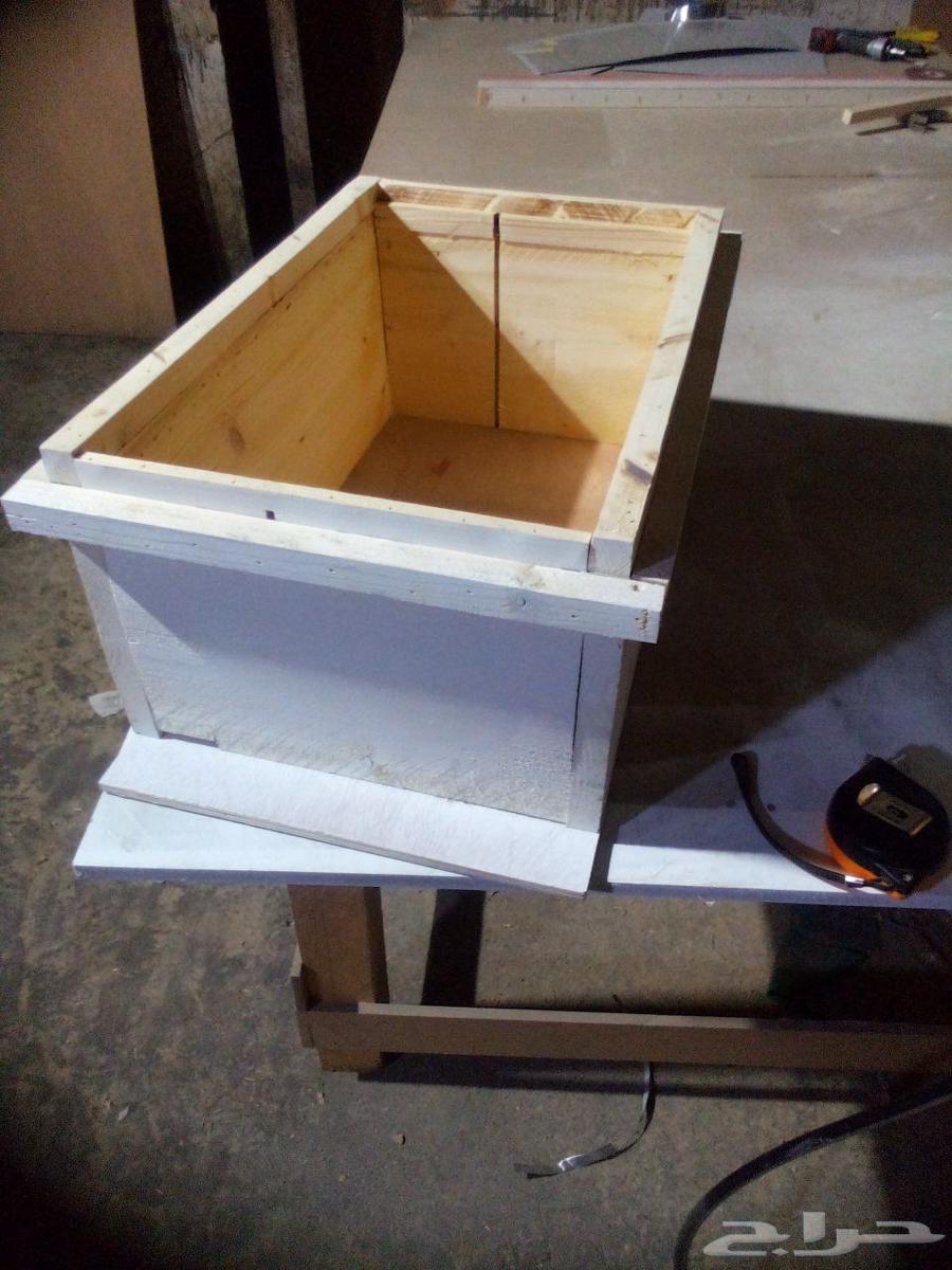 Swedish wooden Frangi cells63383587974658112