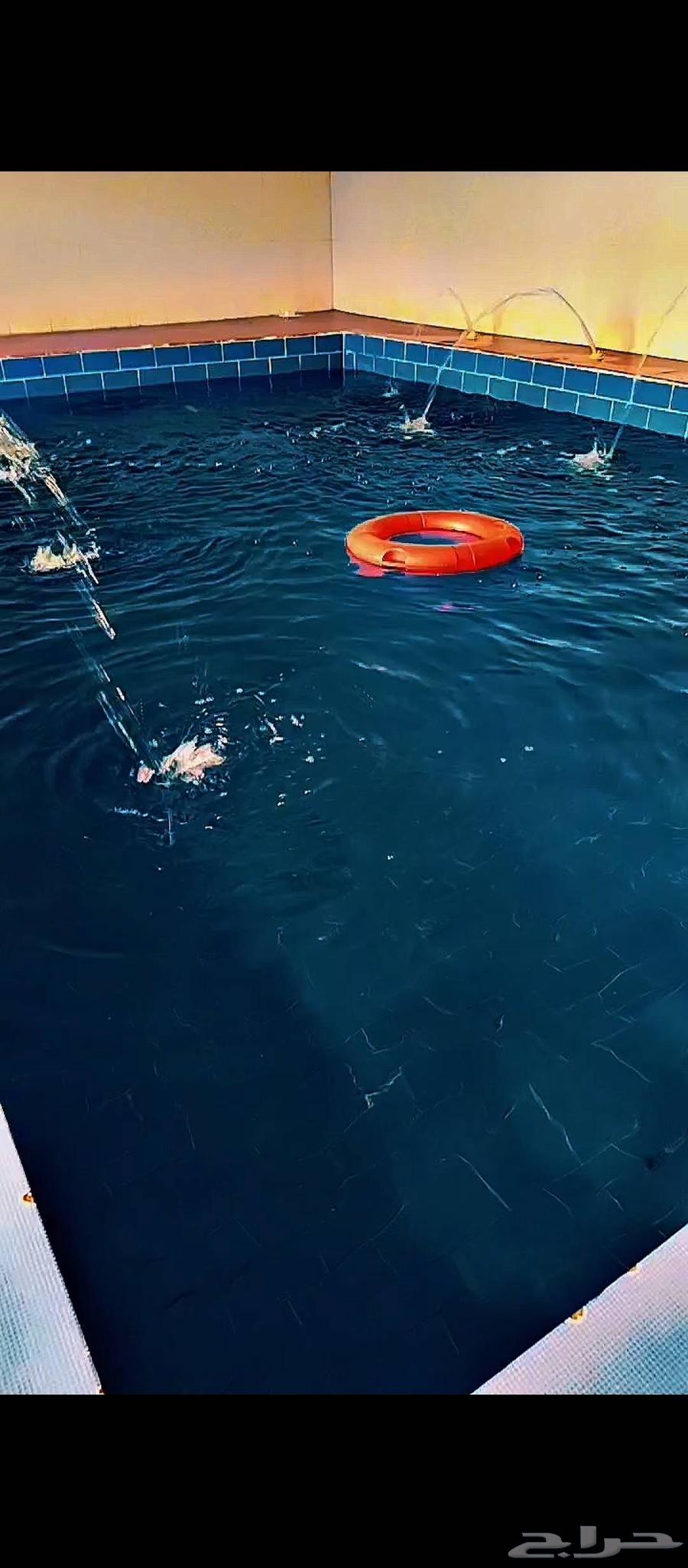 استراحه المهند للايجار اليومي63381197124227111