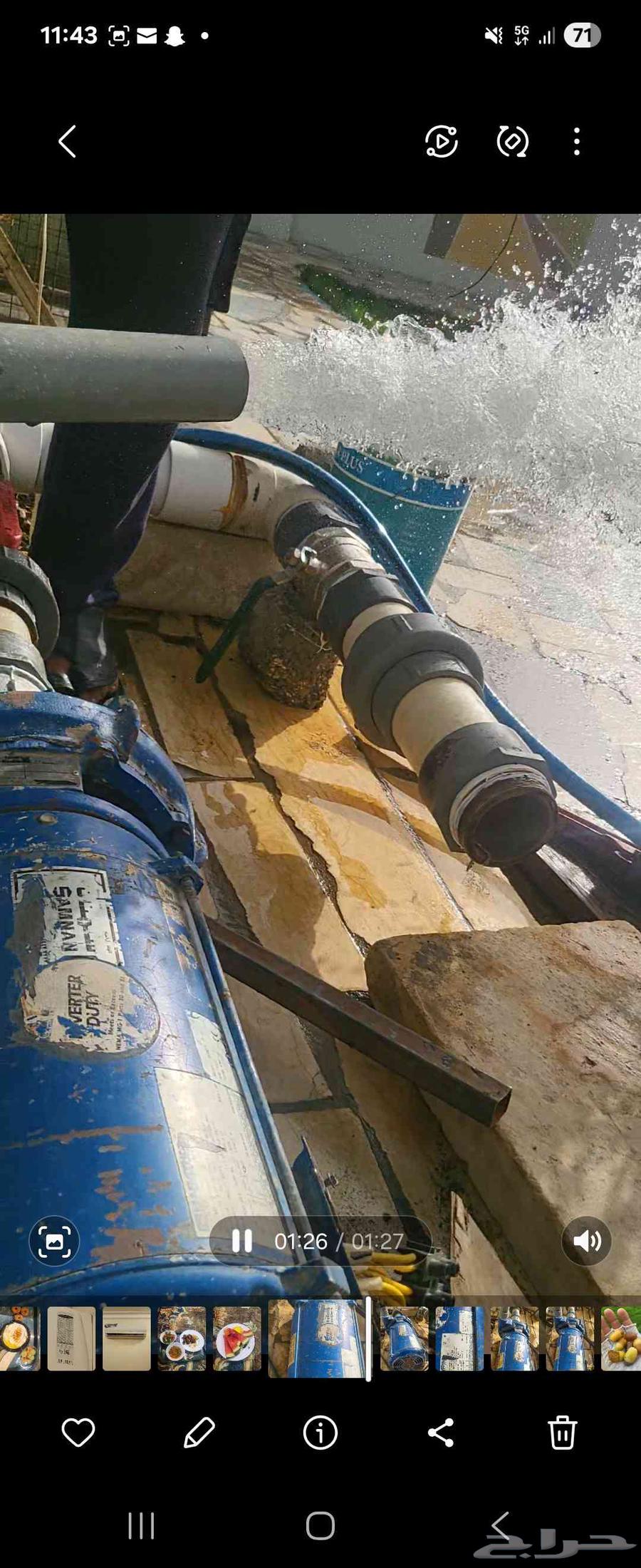 دفاعة سمنان 15 حصان ملفوفة تحت الاشراف63381177584769110