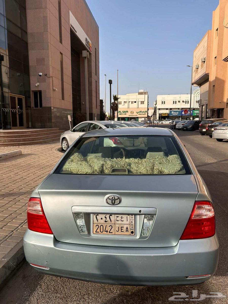كوريلا 200663617729609857111