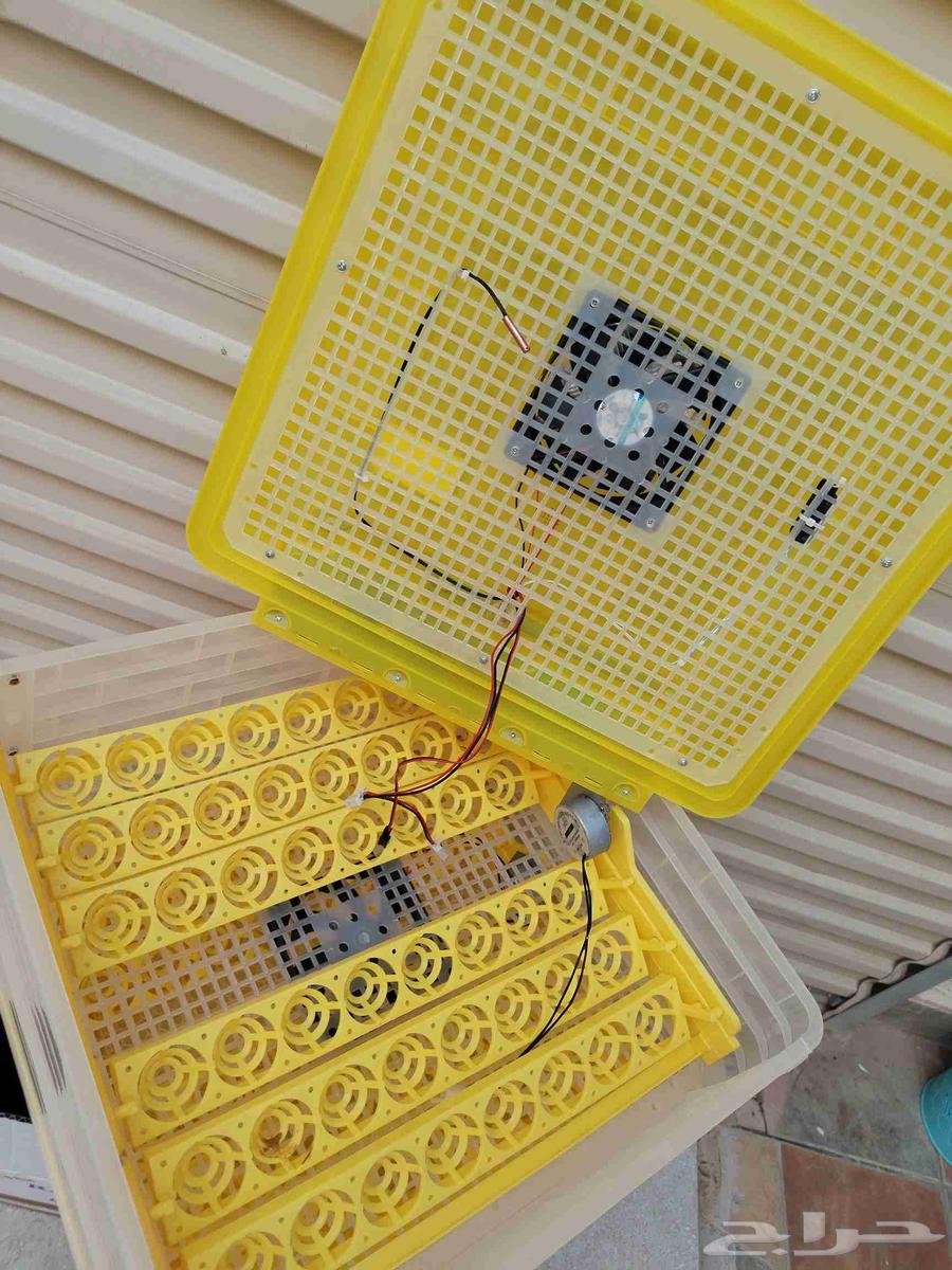 Tomatek 96-egg incubator. Sold63618192064514111