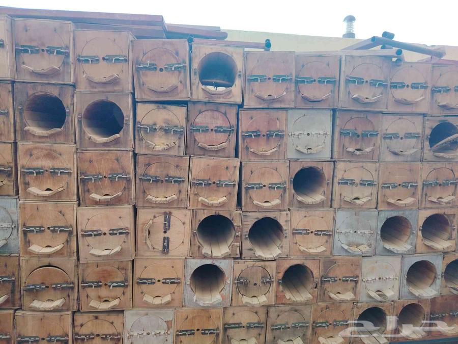 Keep my country fresh and inhabited by bees, price 5063618193235073111