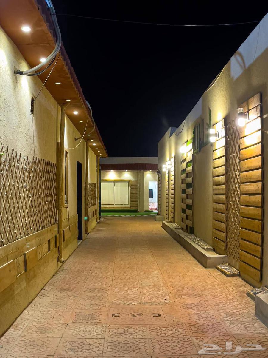 شاليه فله   حي عريض جنوب الرياض63381196805249112