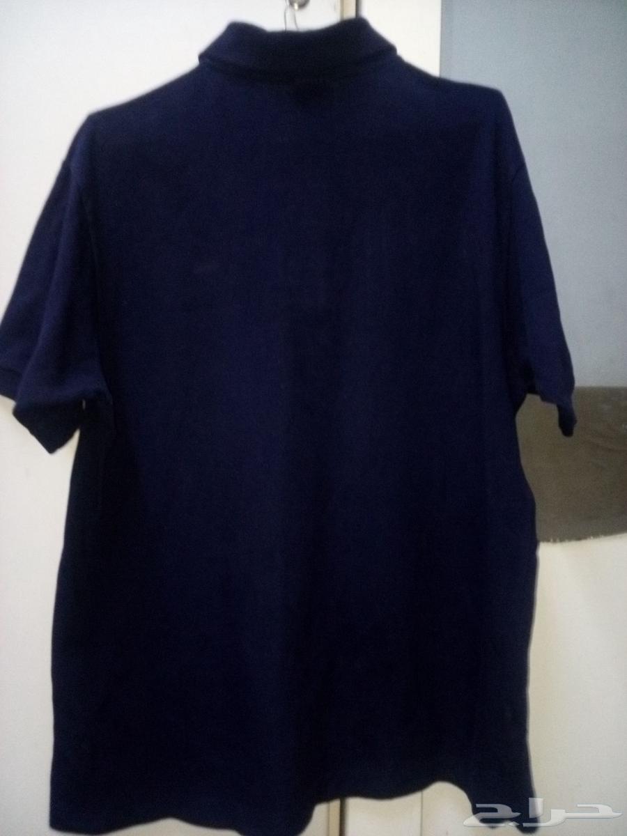 Original Lacoste T-shirt, used but clean63618475369219112