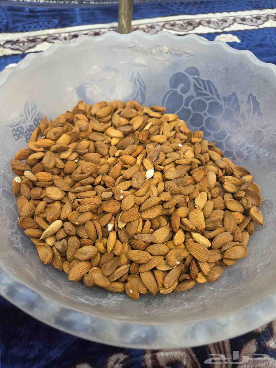 Local Almonds63618478907779110