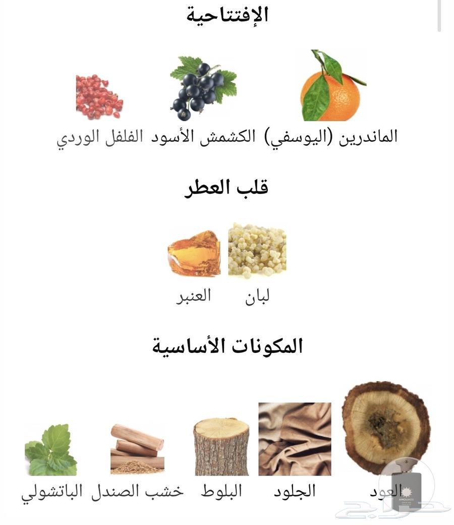 تقسيم عطر كلايف سي وتقسيم عطر كنق بلو امواج63699624411779112