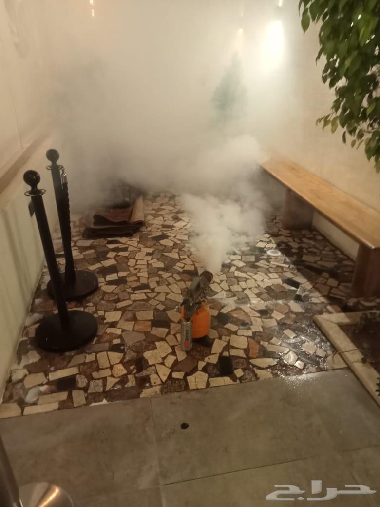 شركة رش مبيدات الحشرات مكافحة الحشرات نمل ابيض واسود بق ا63613669892353112
